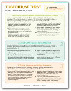 document with three boxes describing the three priorities and their goals for EcoRise's 2025–2028 strategic plan 